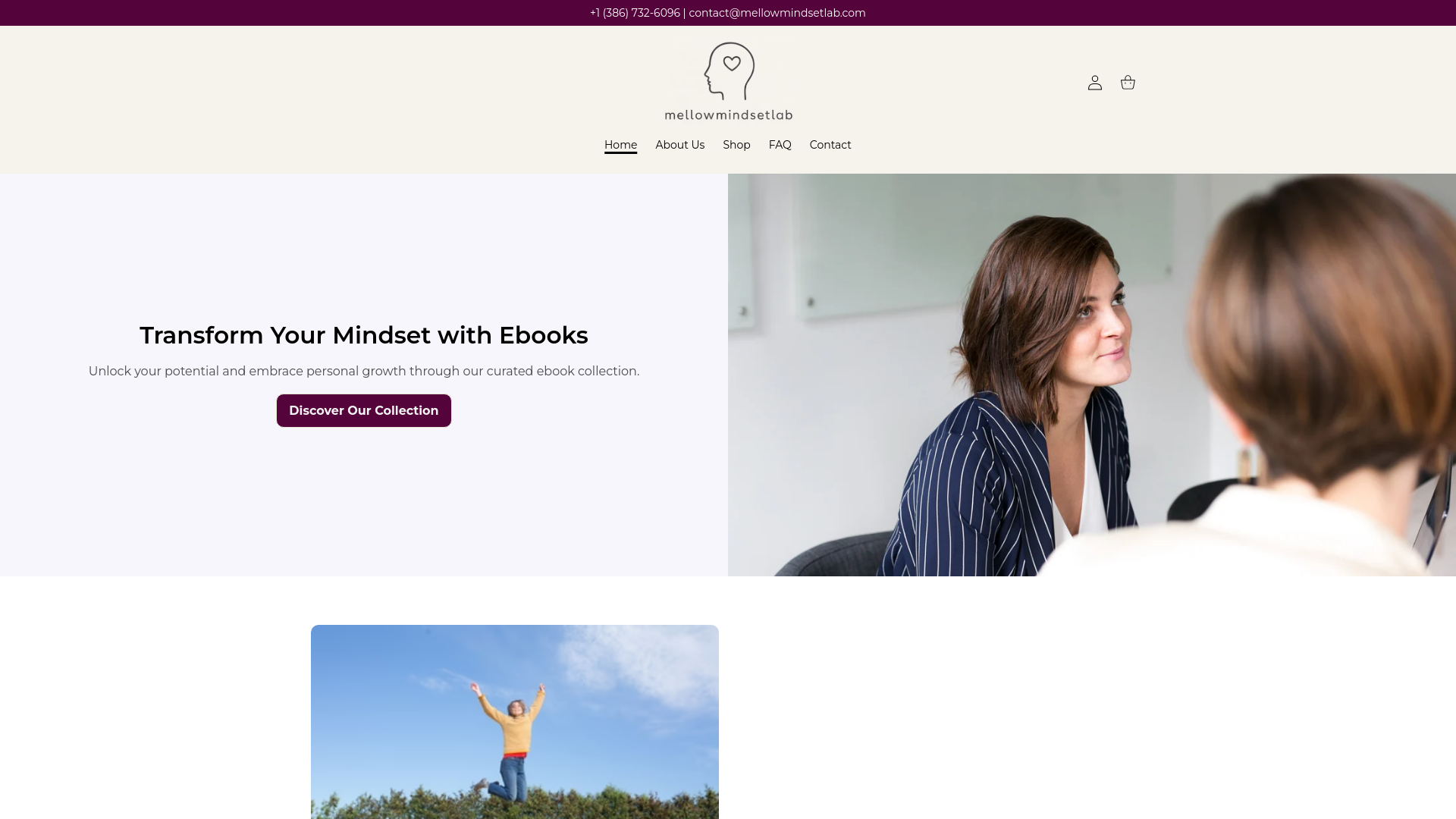 website screenshot of https://mellowmindsetlab.com/