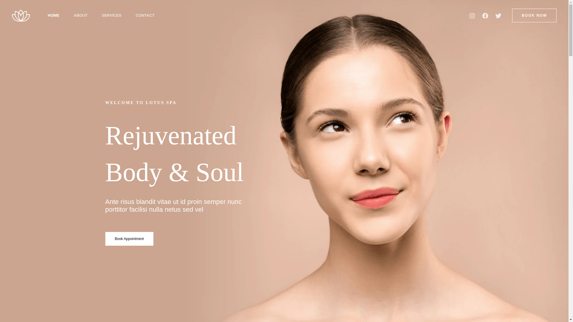 website screenshot of https://lovehero.com.br/