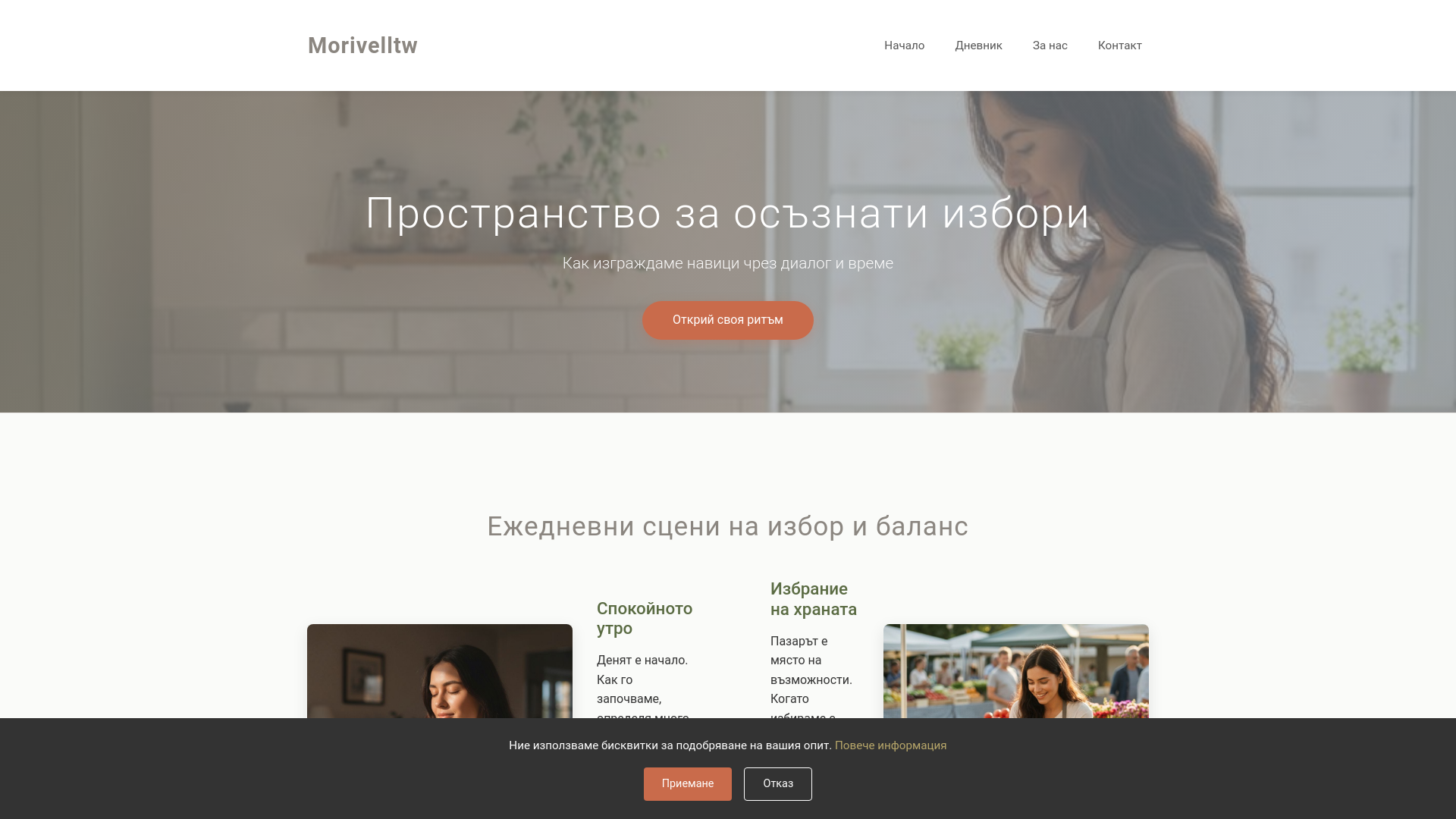 website screenshot of https://morivelltw.info/