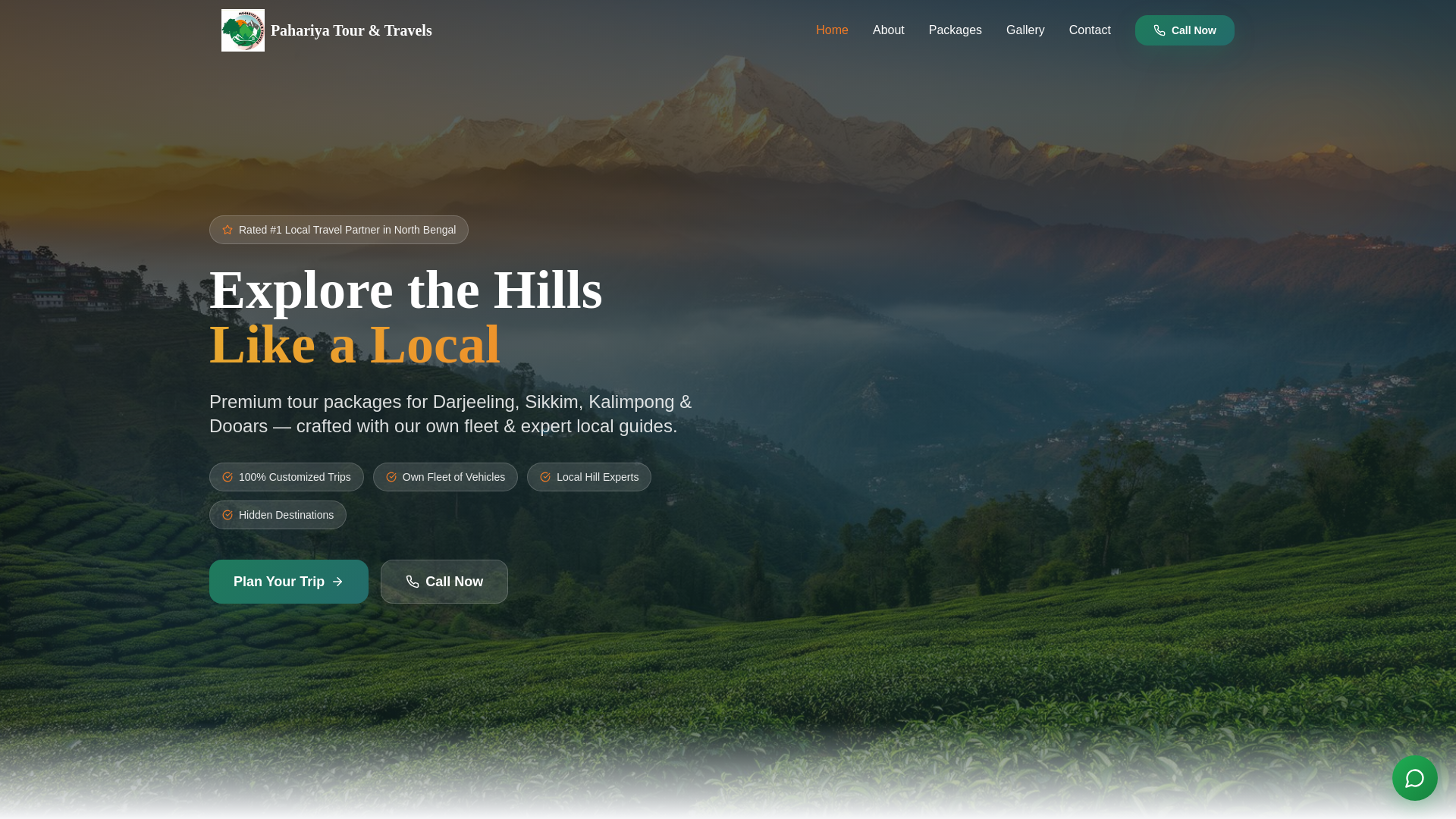 website screenshot of https://pahariyatourandtravels.in/