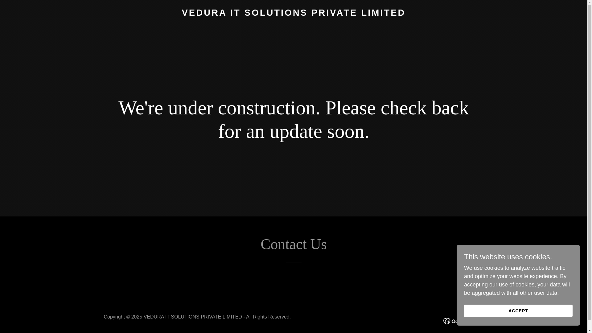 website screenshot of https://vedura.ai/