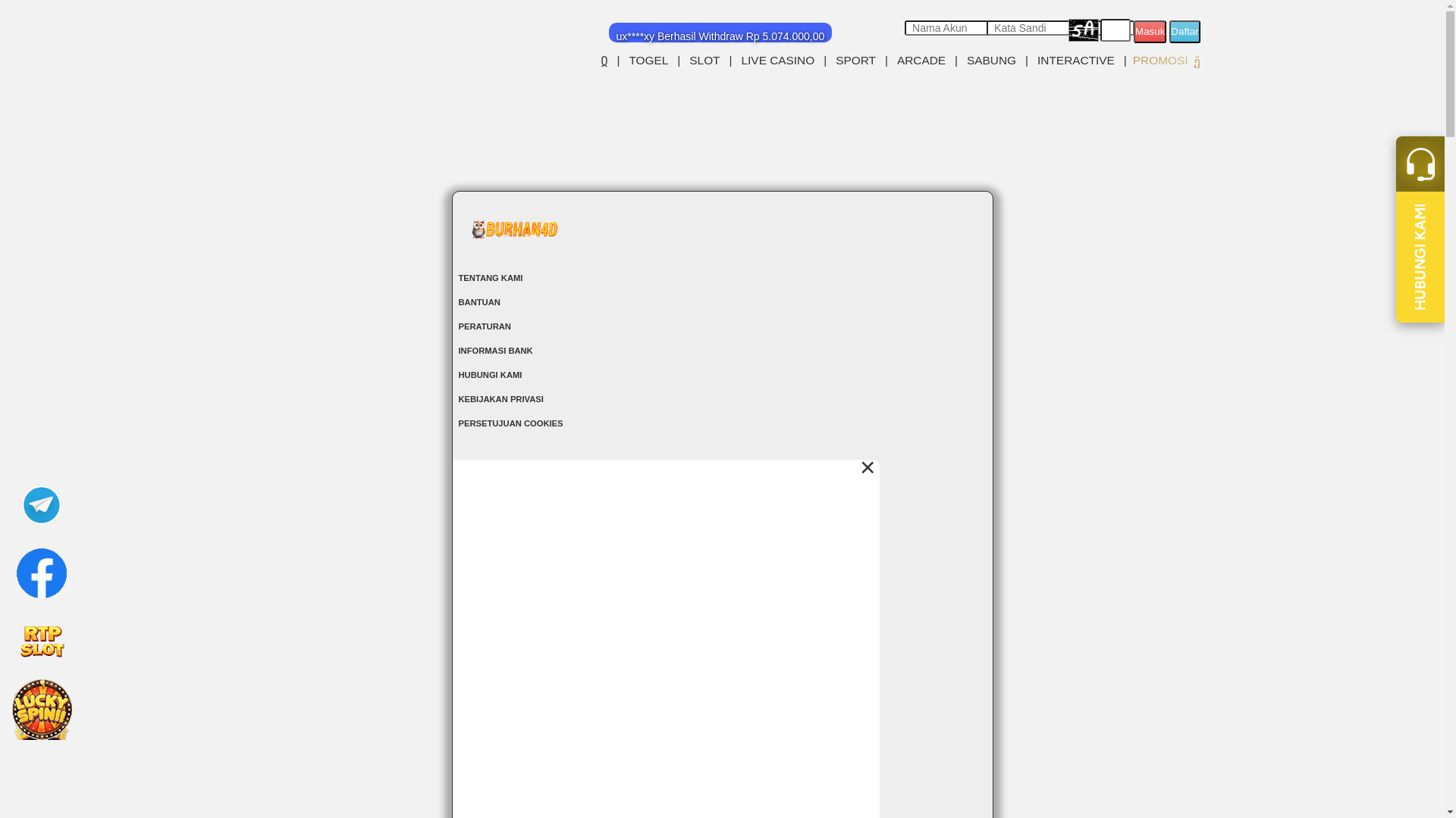 website screenshot of https://burhan4dwin.online/
