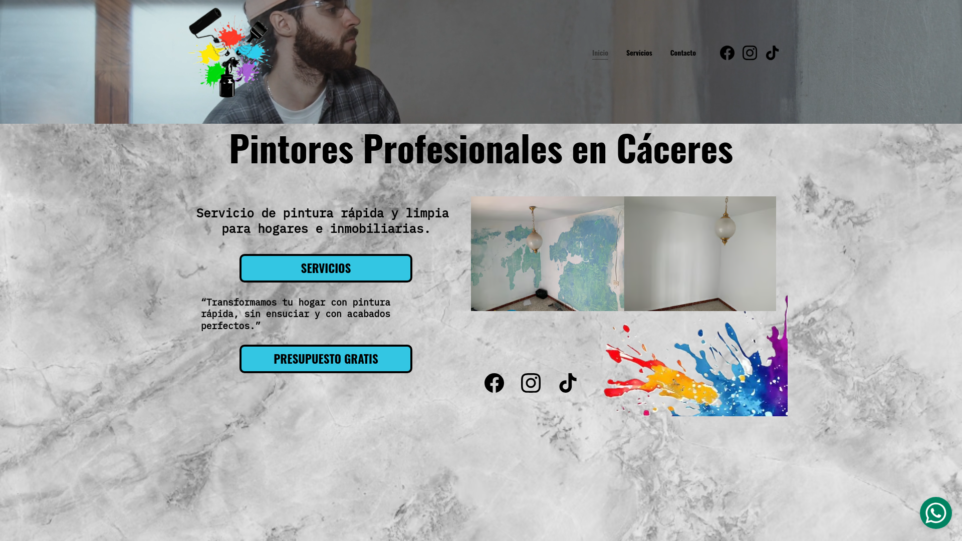 website screenshot of https://pintorescaceres.es/