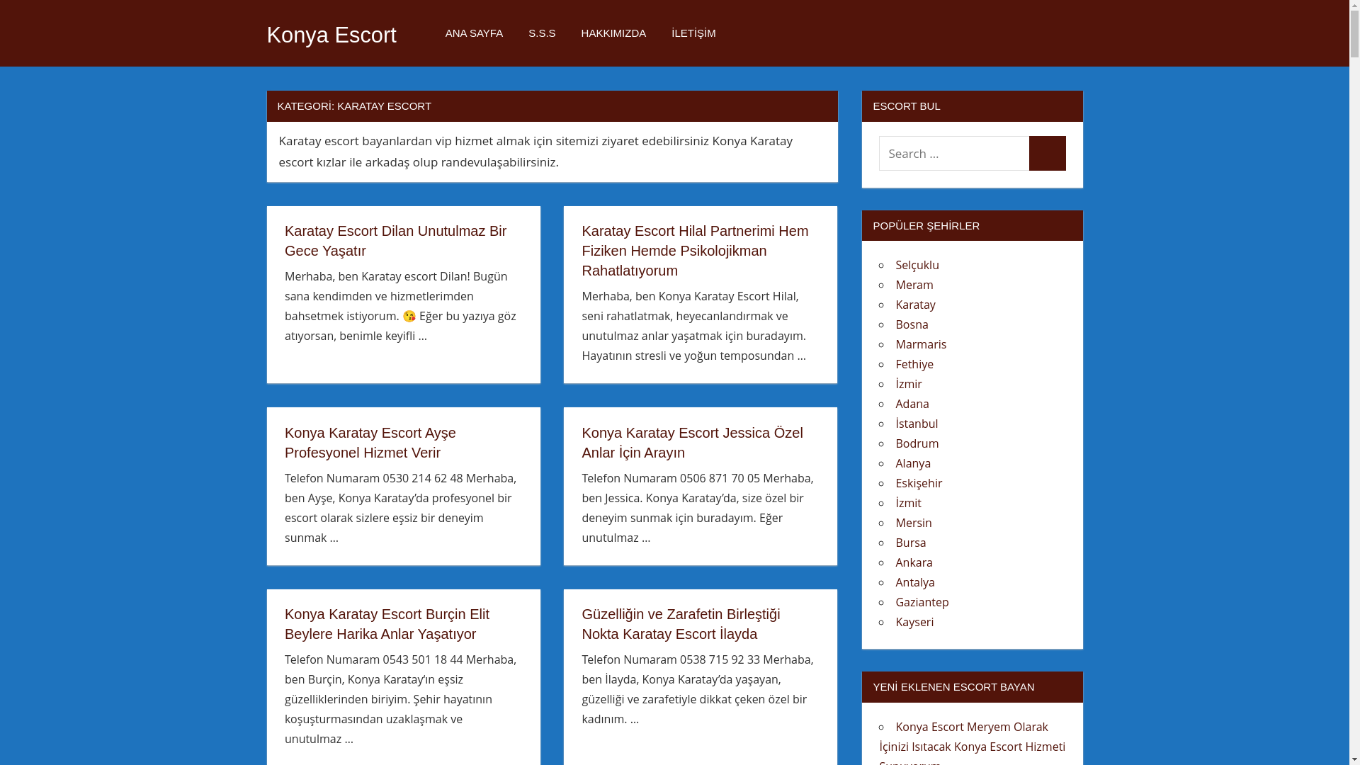 website screenshot of https://istanbulescortx1.shop/