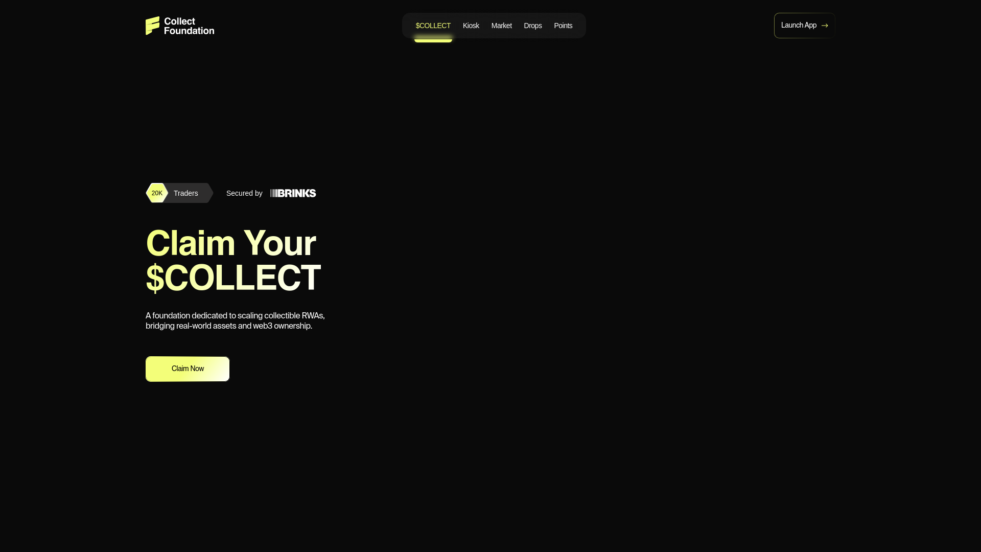 website screenshot of https://collect-foundation.com/