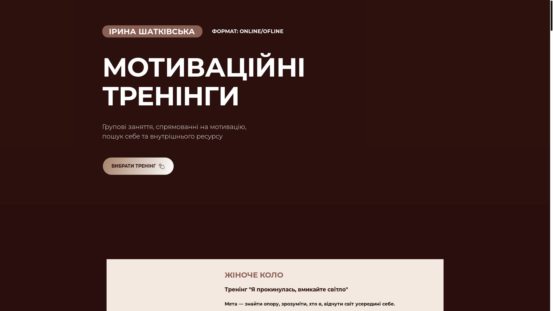 website screenshot of https://shatkivska.com/