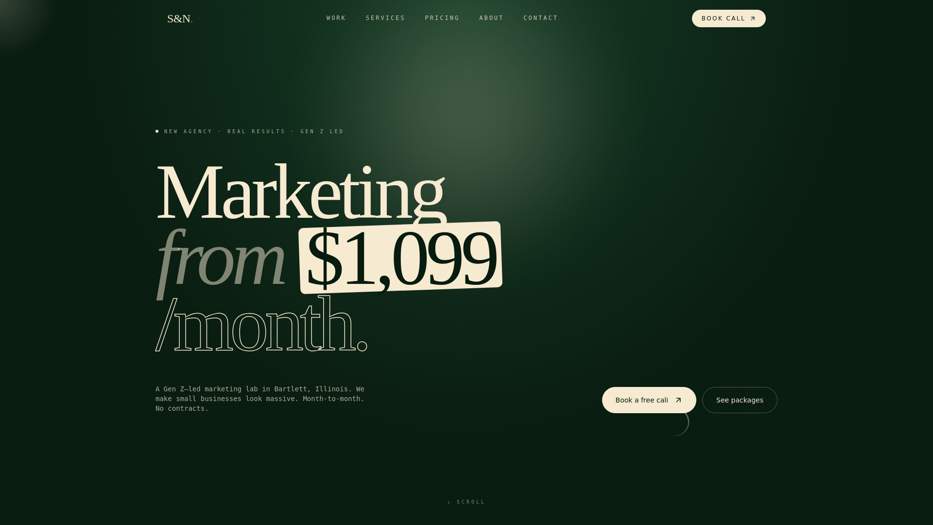 website screenshot of https://snmediaslab.com/