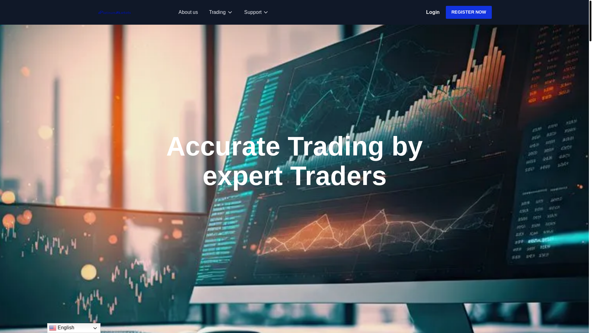website screenshot of https://platinum-markets.net/