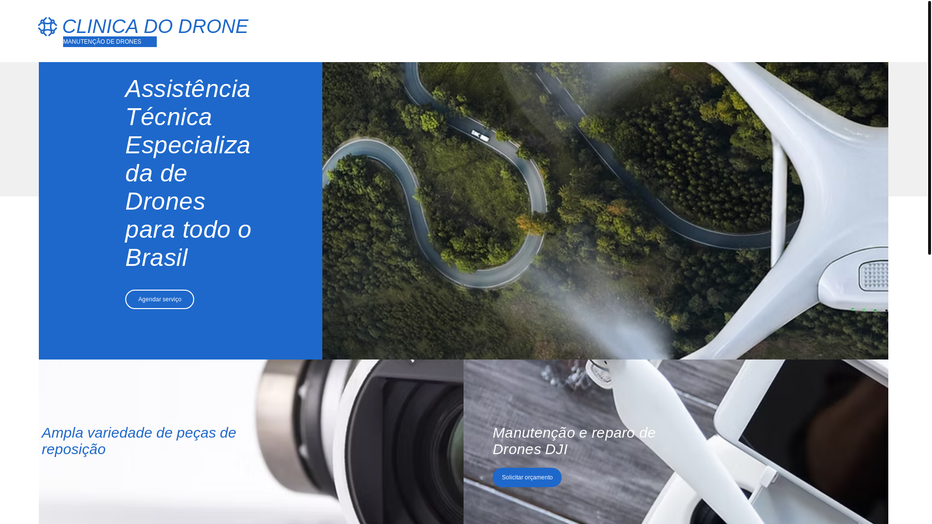 website screenshot of https://clinicadodrone.com.br/