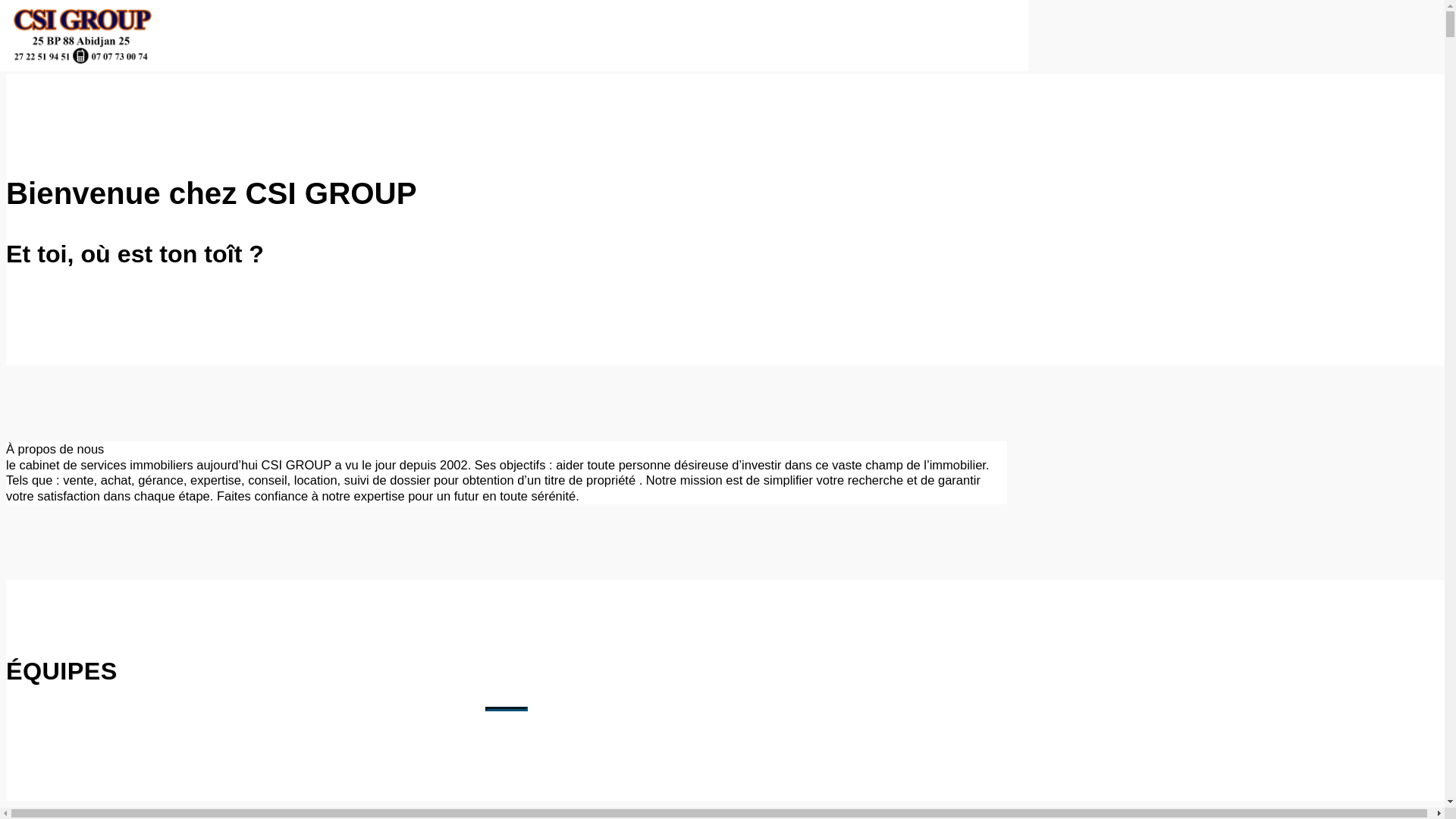 website screenshot of https://csigroup-agence.com/