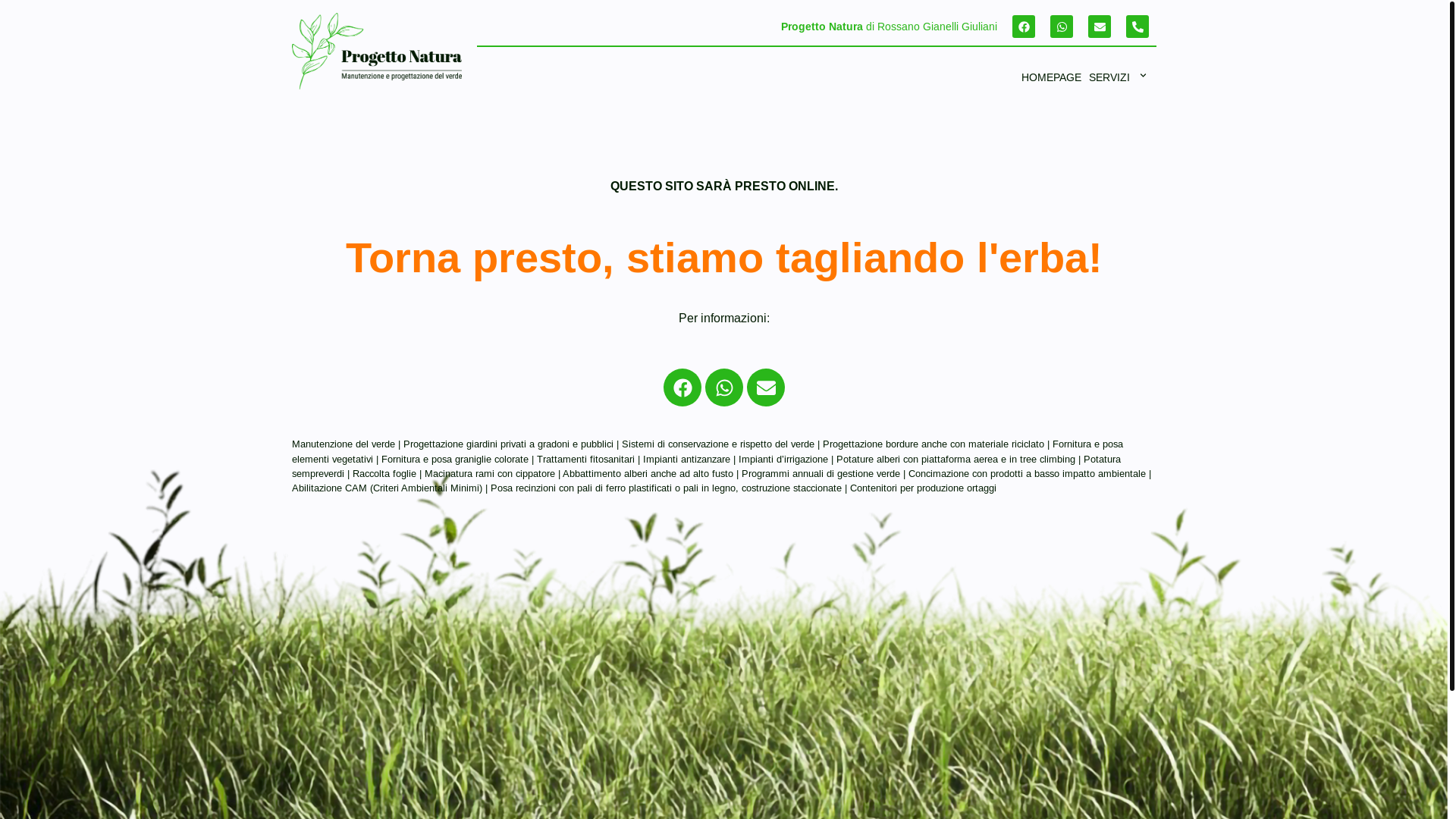 website screenshot of https://progettonatura-verde.com/