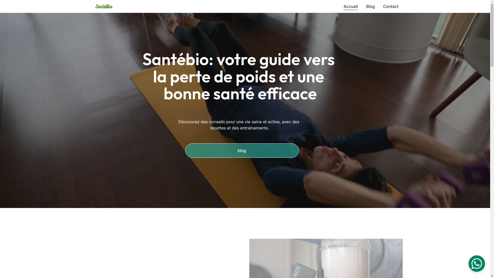 website screenshot of https://santebio.blog/