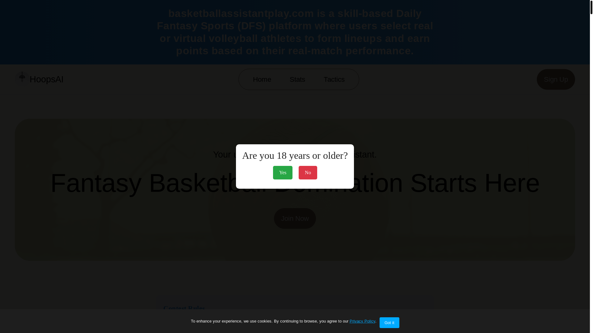 website screenshot of https://basketballassistantplay.com/
