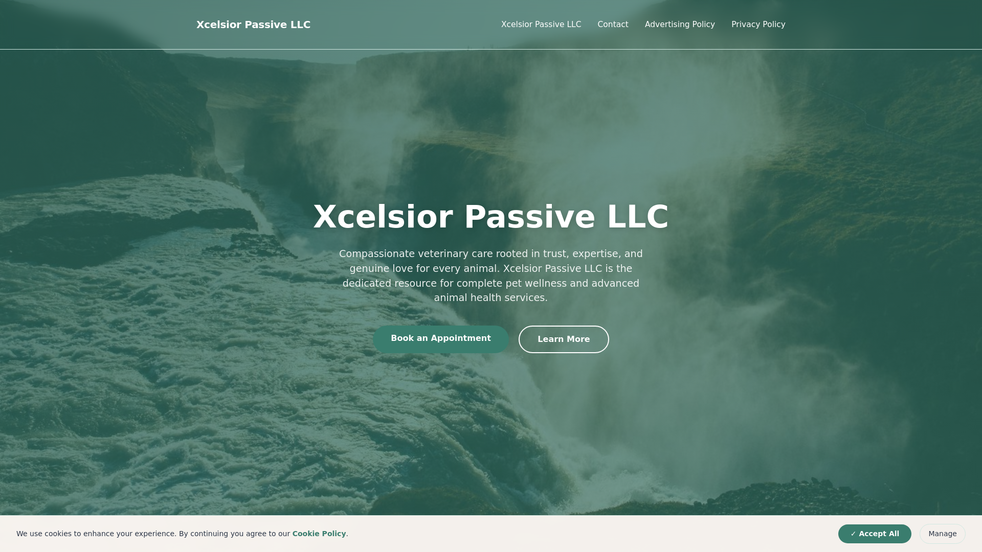 website screenshot of https://xcelsiorpassivellc.com/