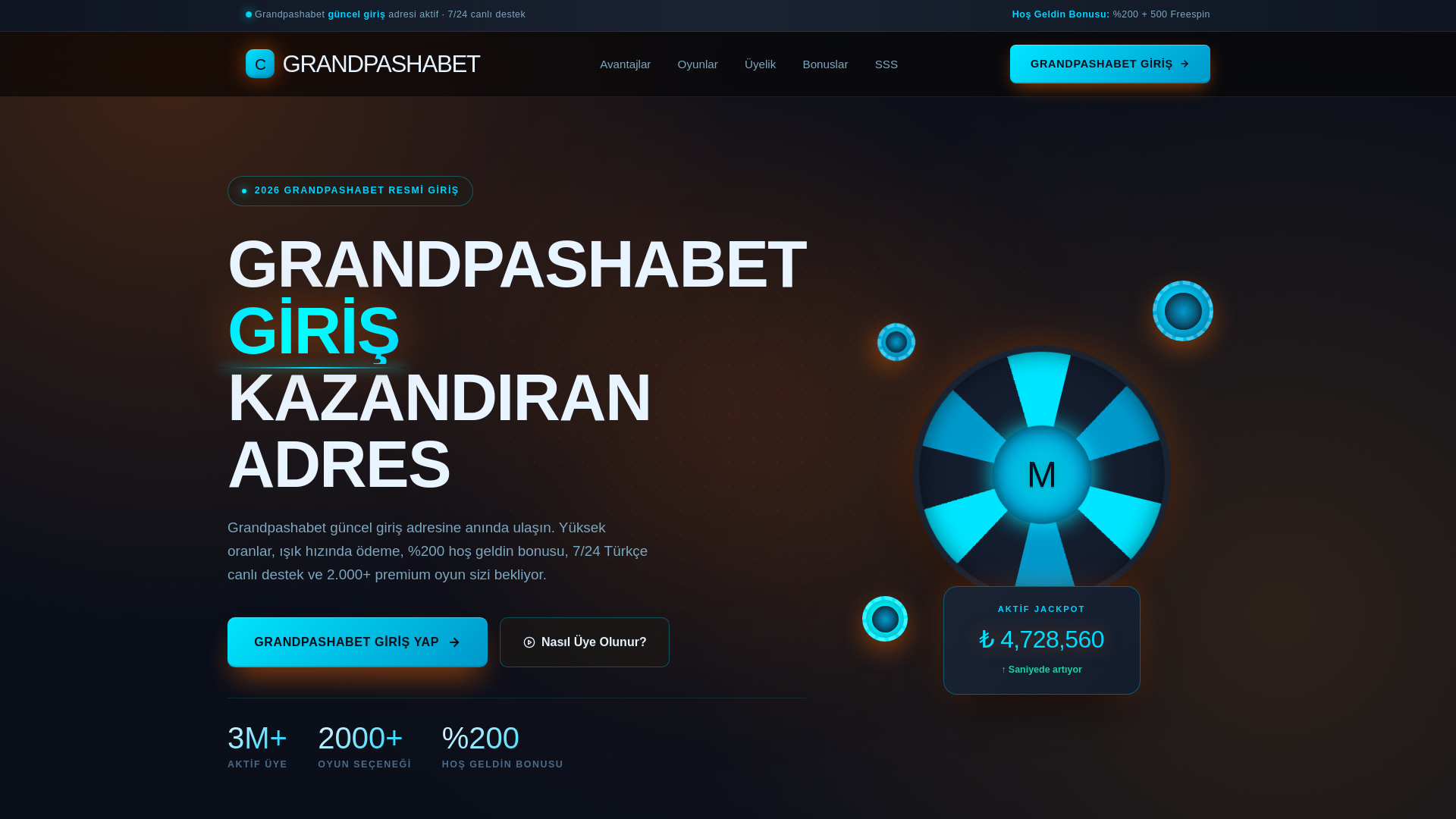 website screenshot of https://tr.grandpashaabtofcl-erisim.vip