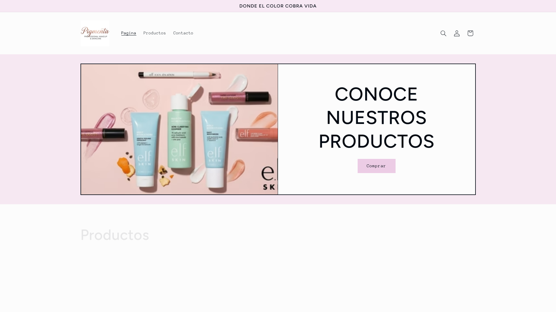website screenshot of https://pigmentaymas.com