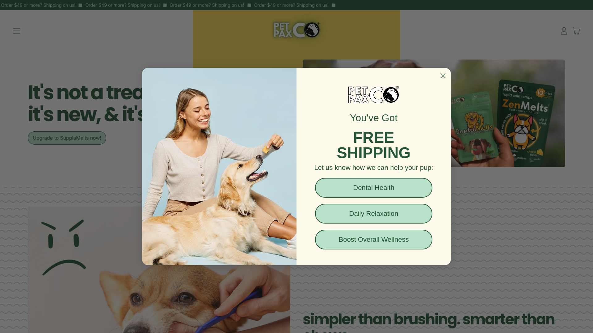 website screenshot of https://petpaxcopartners.info