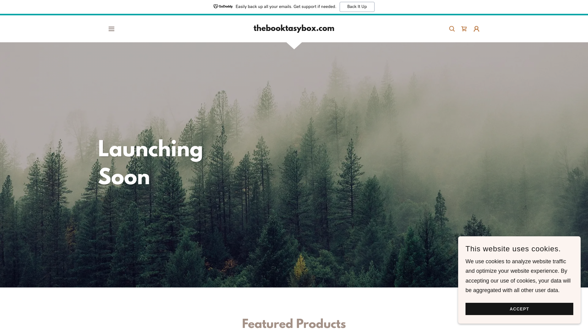 website screenshot of https://thebooktasybox.com/