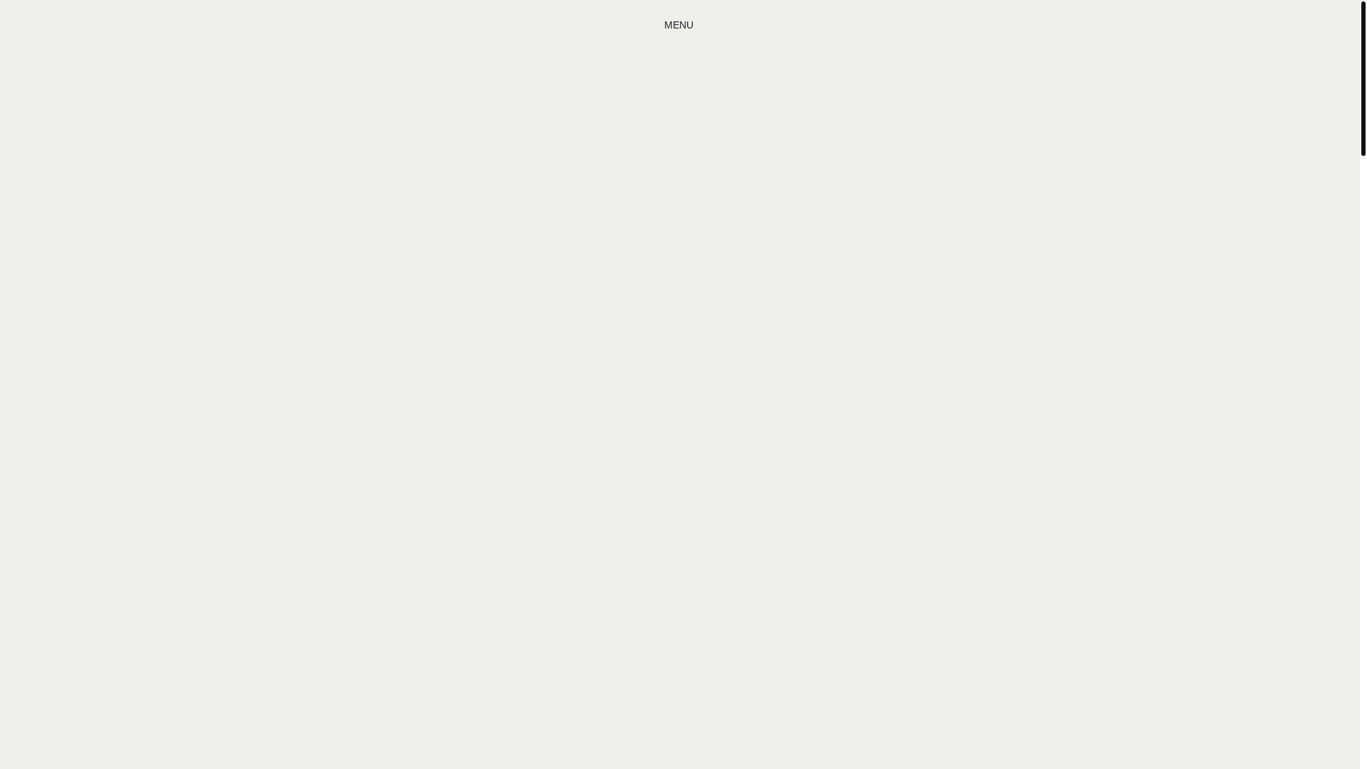 website screenshot of https://blueoceanhustle.com/