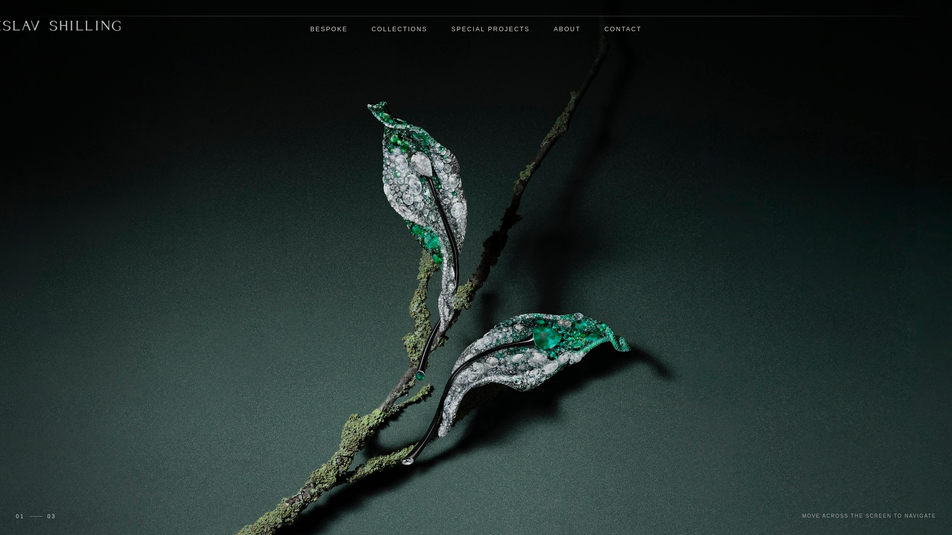 website screenshot of https://viacheslav-shilling.com