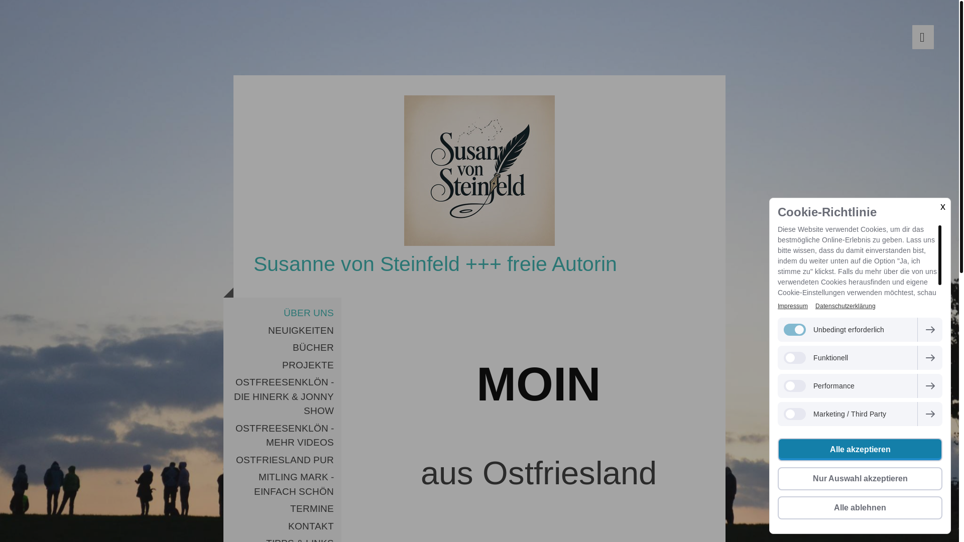 website screenshot of https://steinfeldromane.de/