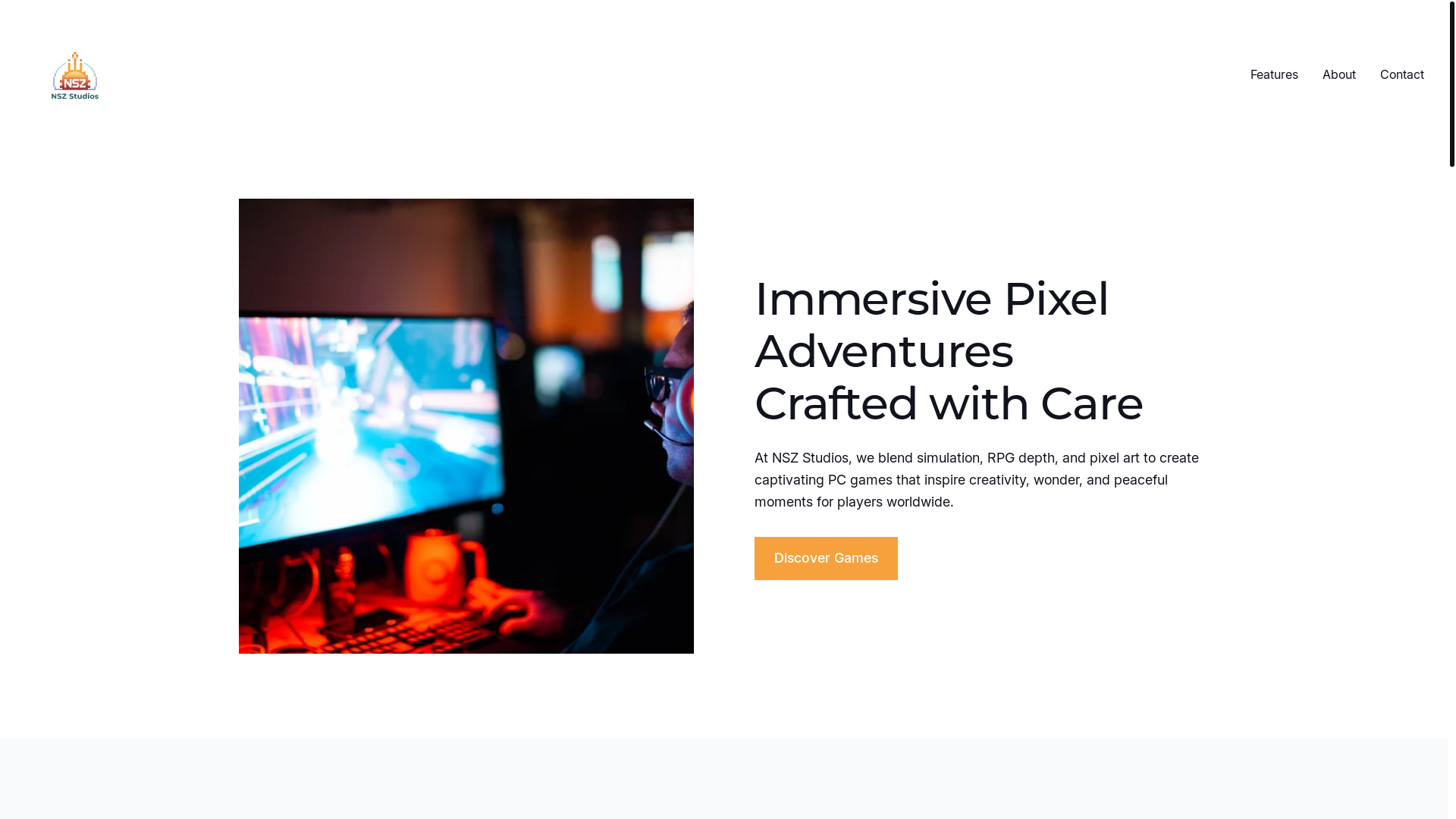 website screenshot of https://nszstudios.com/