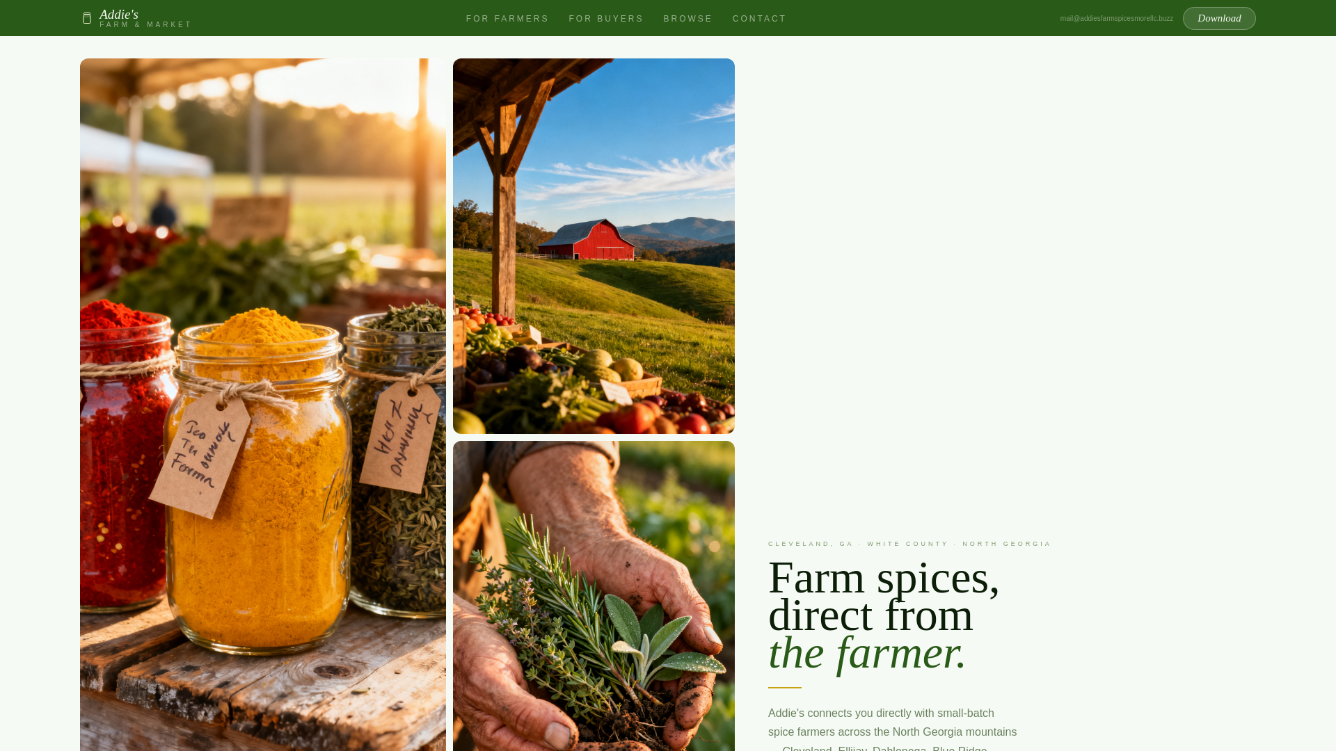 website screenshot of https://addiesfarmspicesmorellc.buzz/