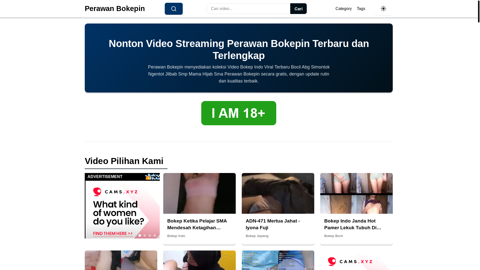 website screenshot of https://perawanbokepin.pages.dev/