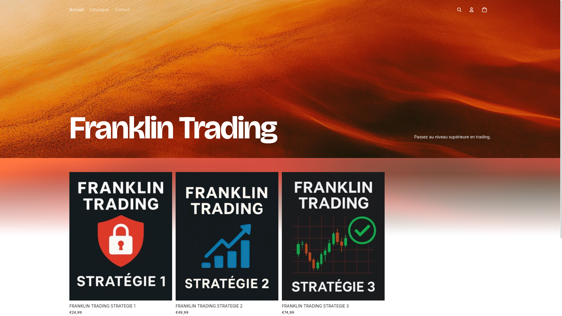 website screenshot of https://franklintrading.fr/