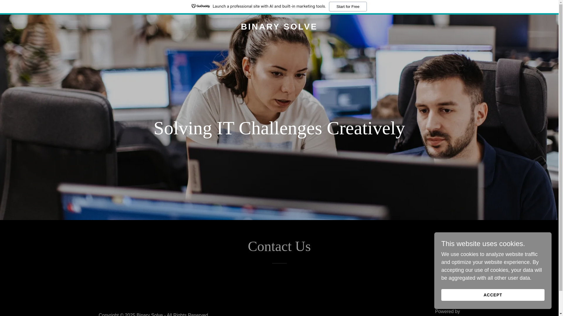 website screenshot of https://binarysolve.com/