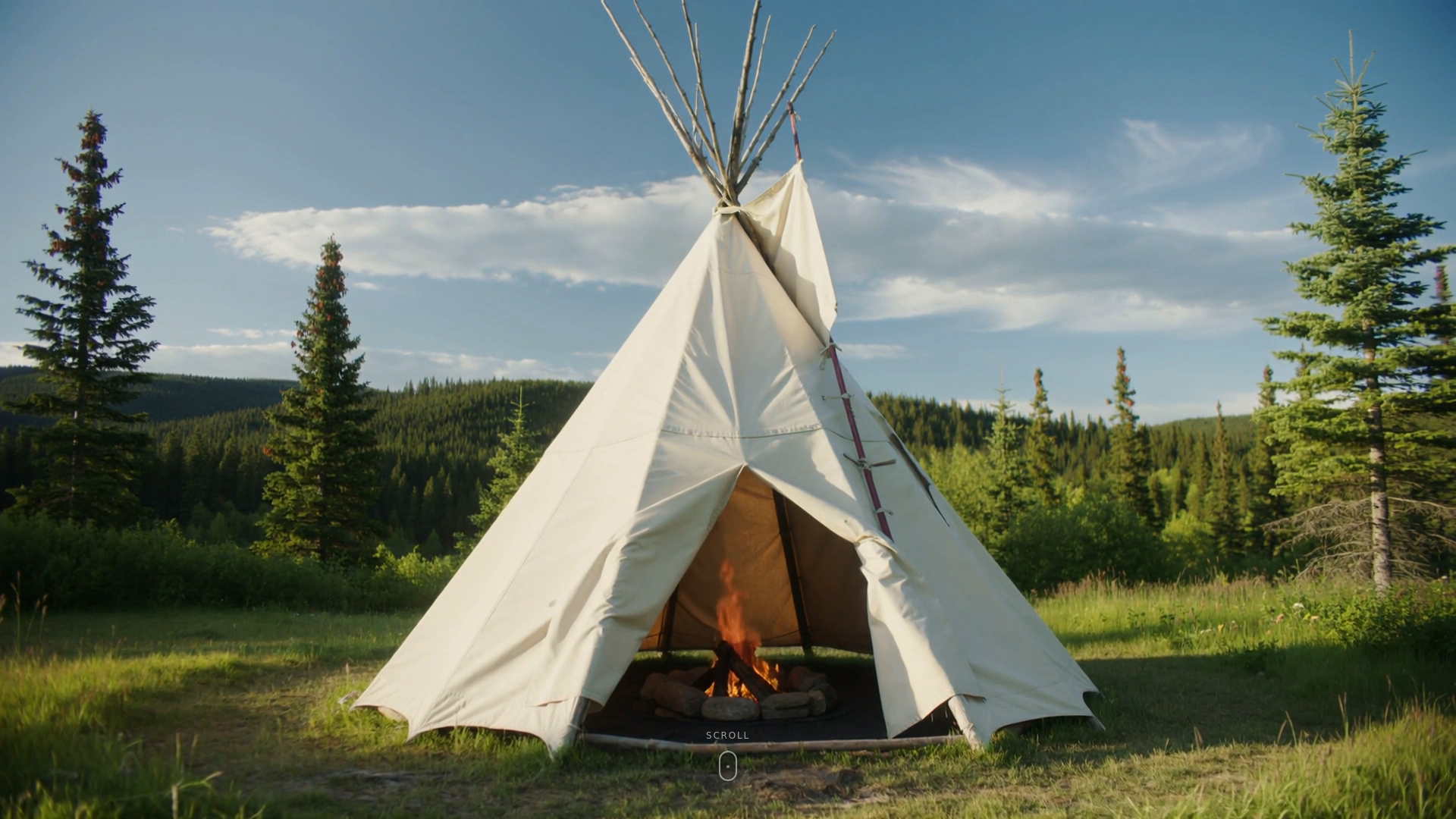 website screenshot of https://puszczanstwo-org.pages.dev/