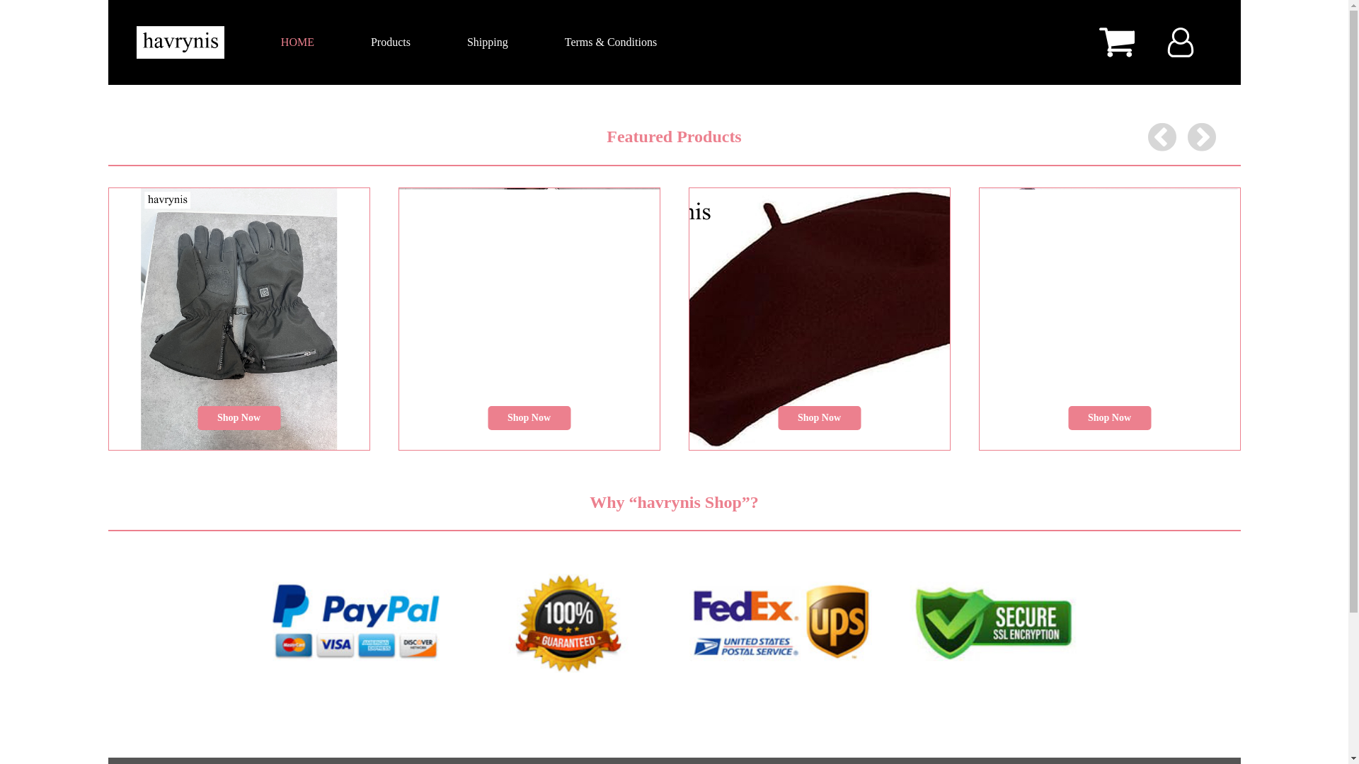 website screenshot of https://havrynis.xyz/