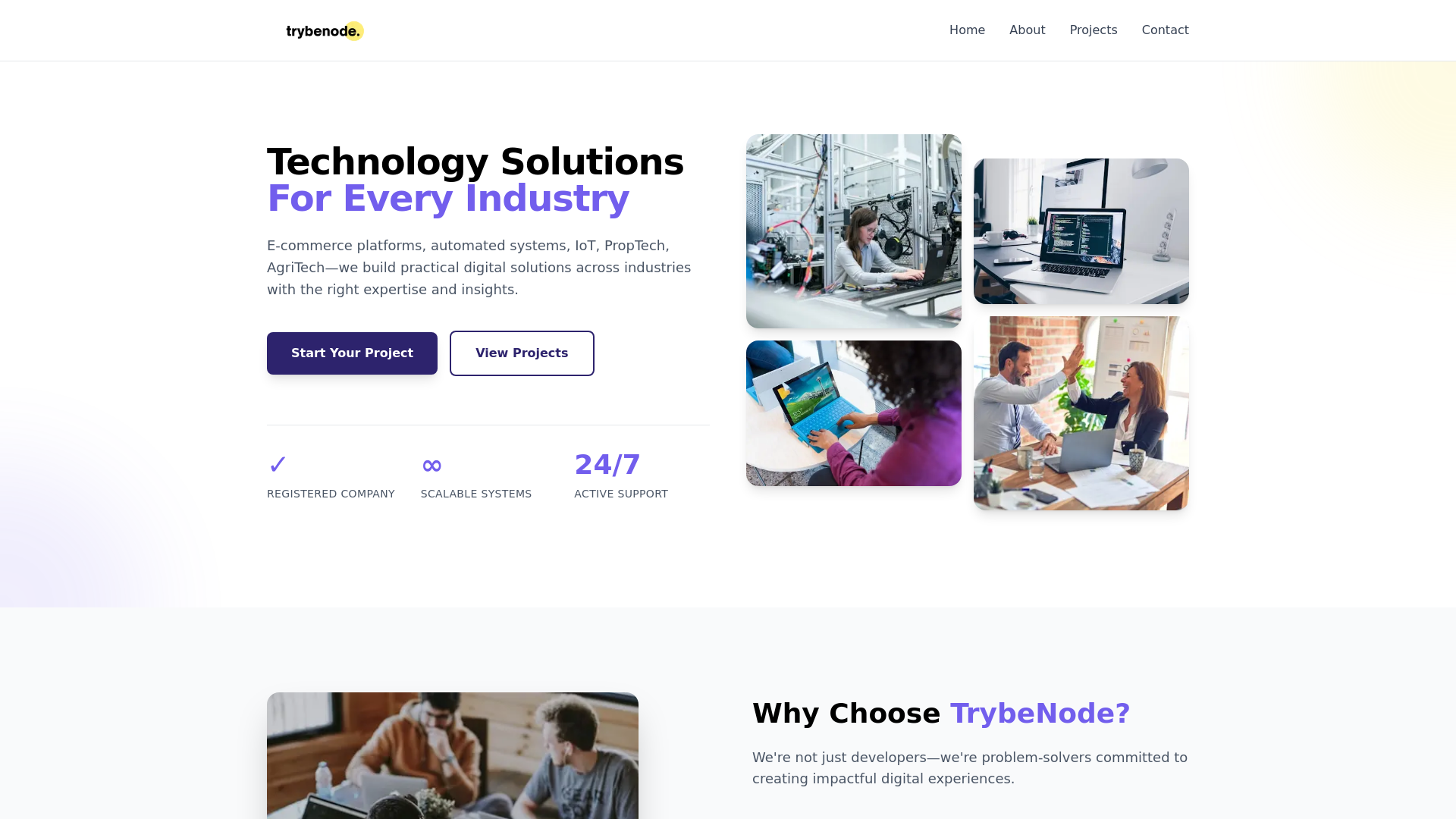 website screenshot of https://trybenode.online/