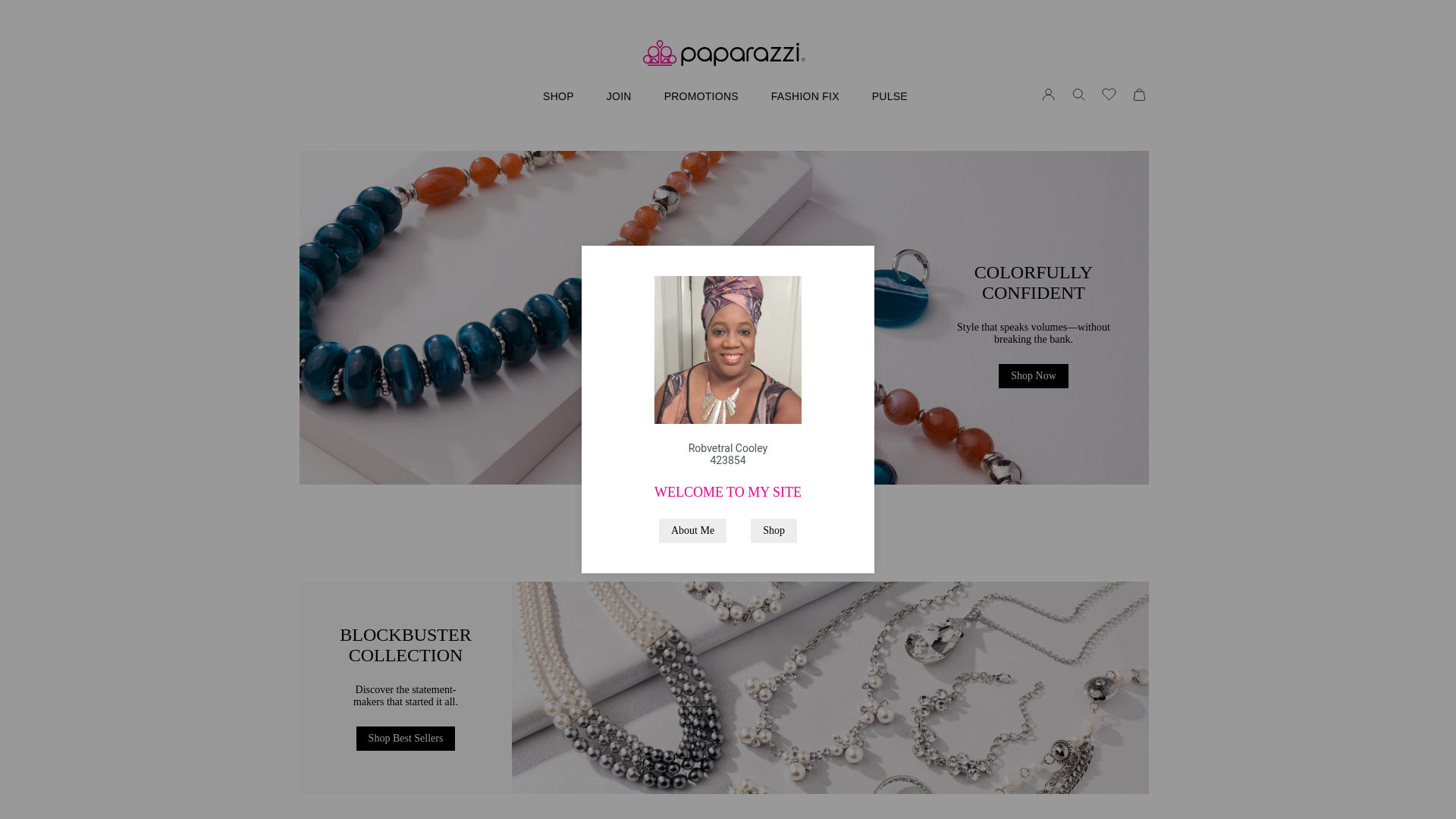 website screenshot of https://fashionistaofcostumejewelry.store/