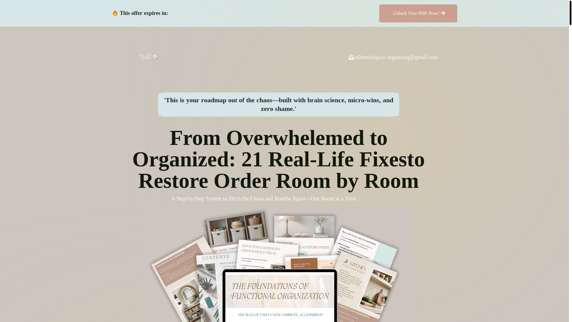 website screenshot of https://organizedebook.com/