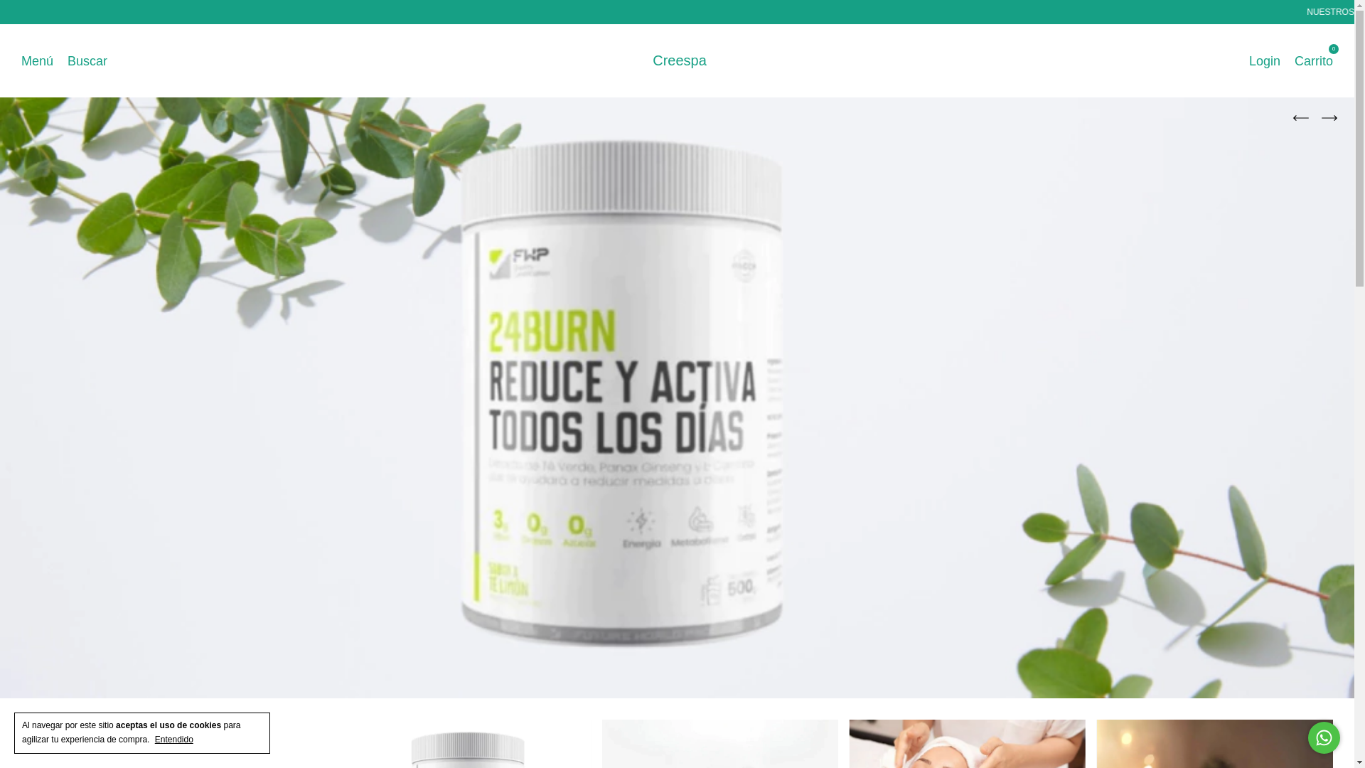 website screenshot of https://creespa.cl/