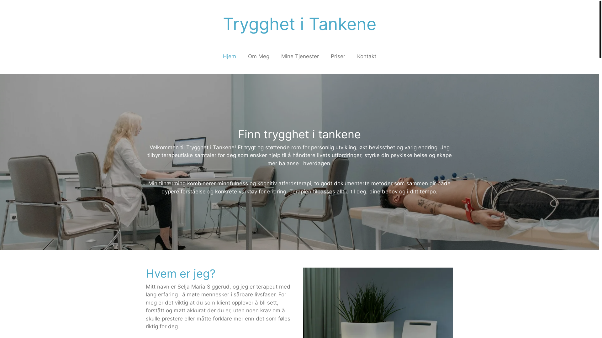 website screenshot of https://trygghetitankene.no/