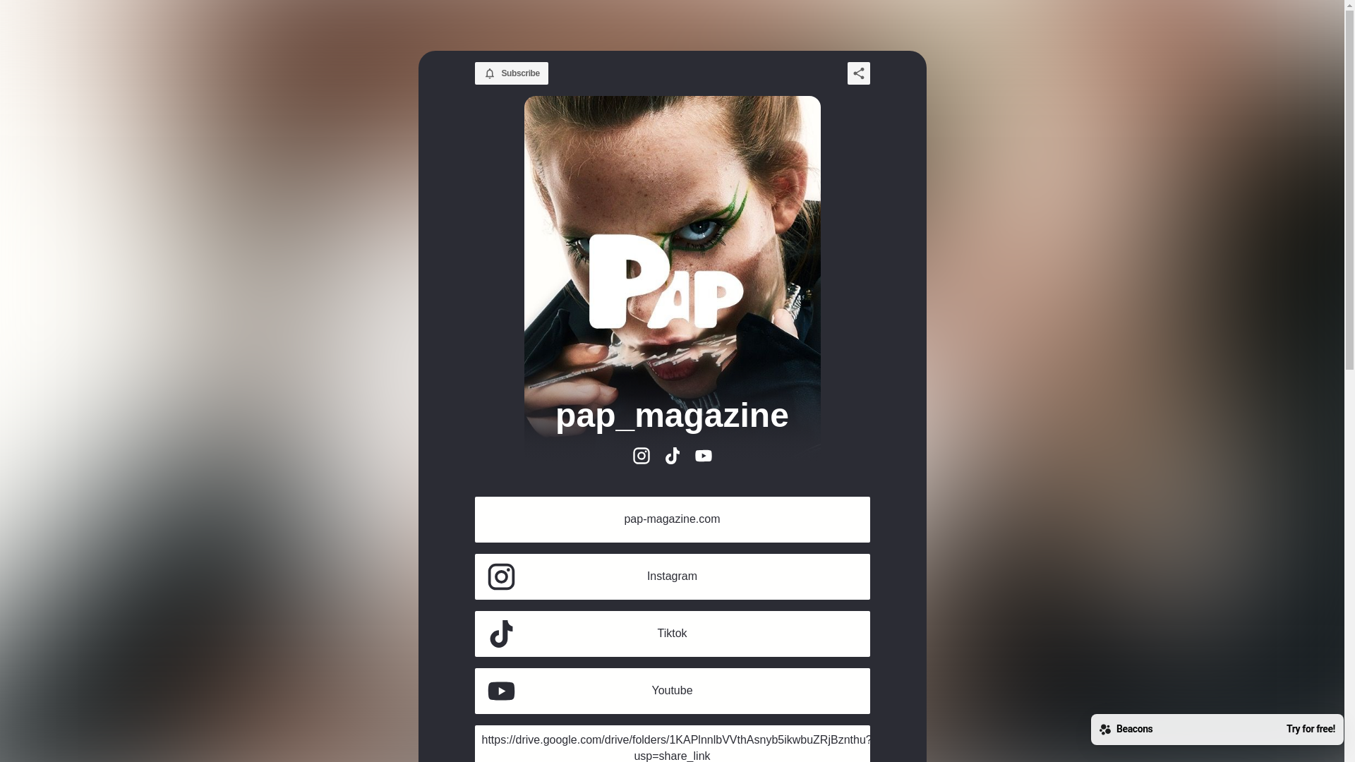 website screenshot of https://papmagazine.store/