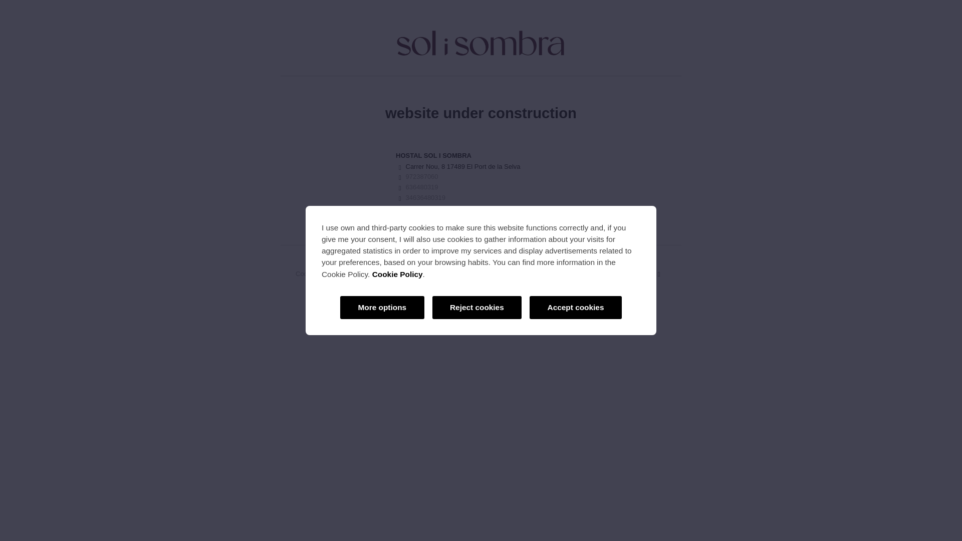 website screenshot of https://hostalsolisombra.com
