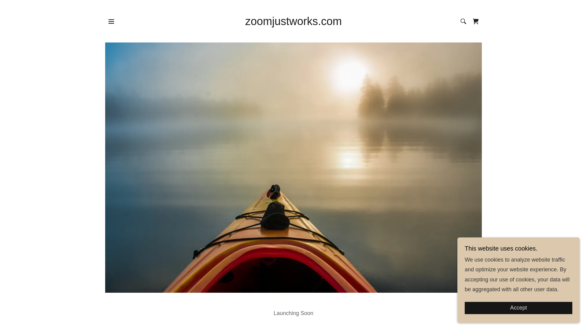 website screenshot of https://zoomjustworks.com/