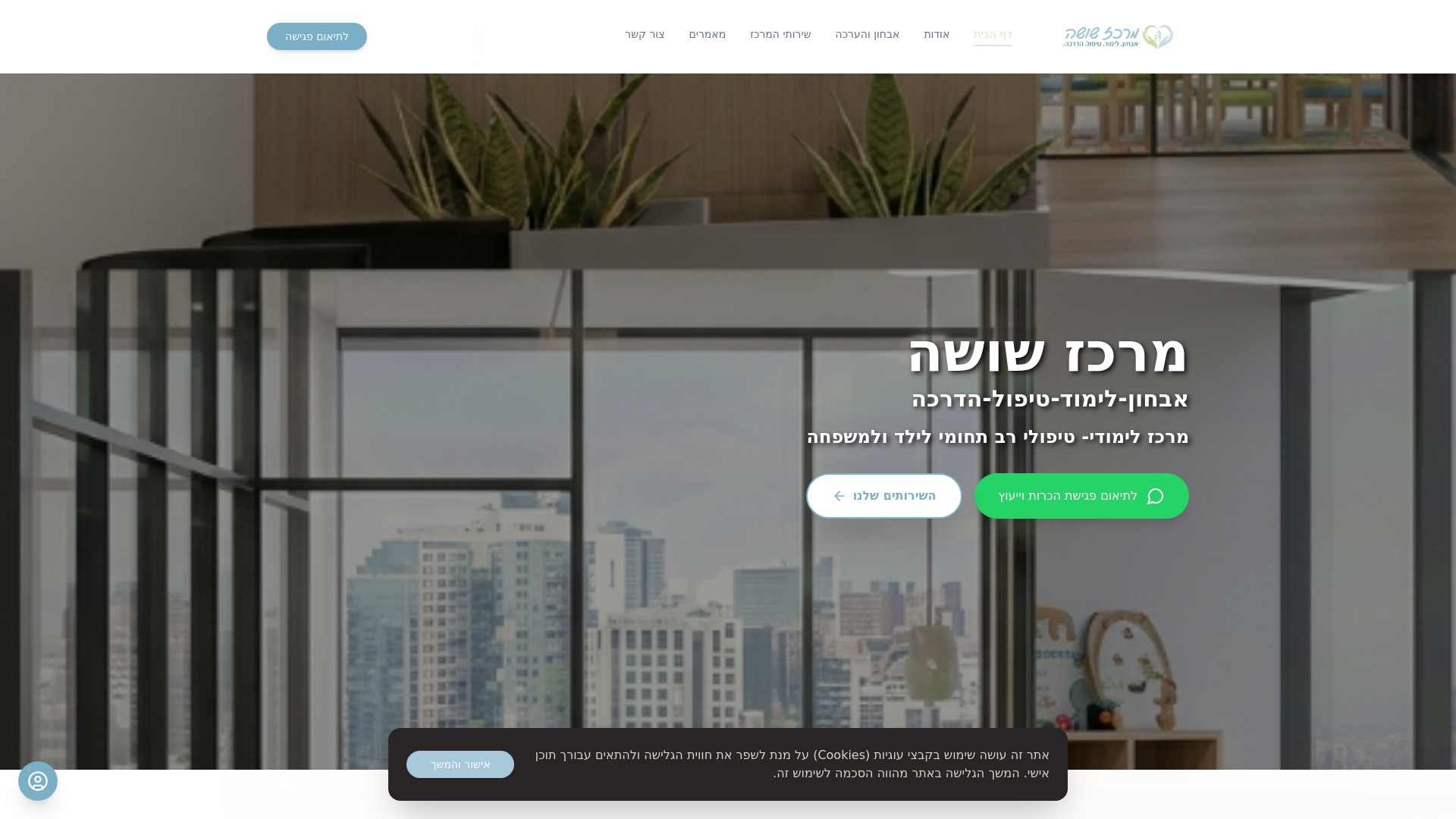 website screenshot of https://merkazshusha.com/