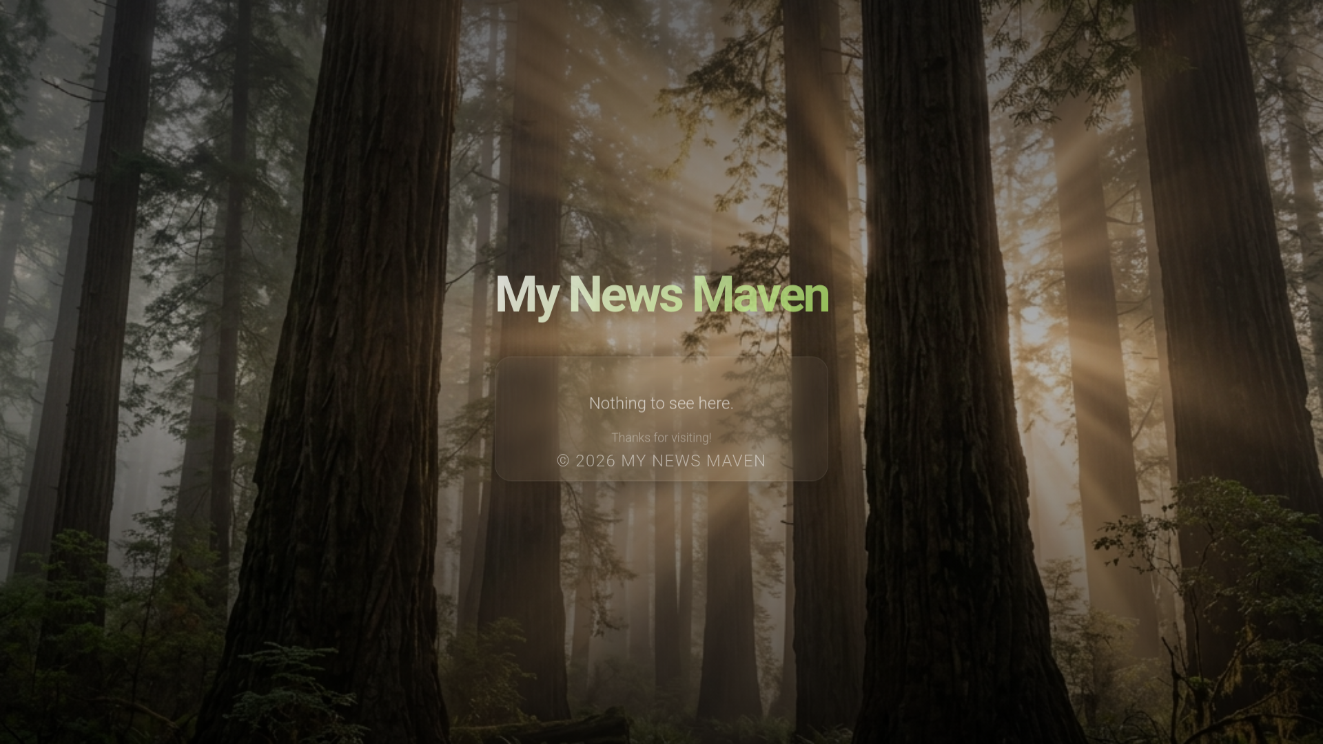 website screenshot of https://mynewsmaven.pages.dev/