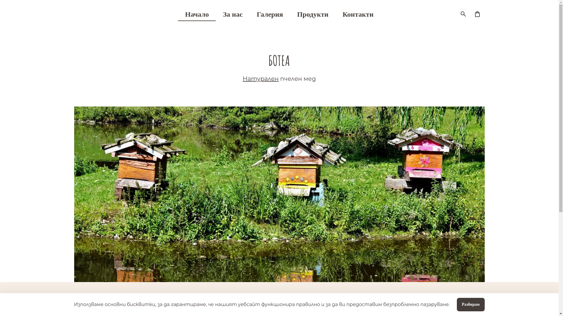 website screenshot of https://botea.us/