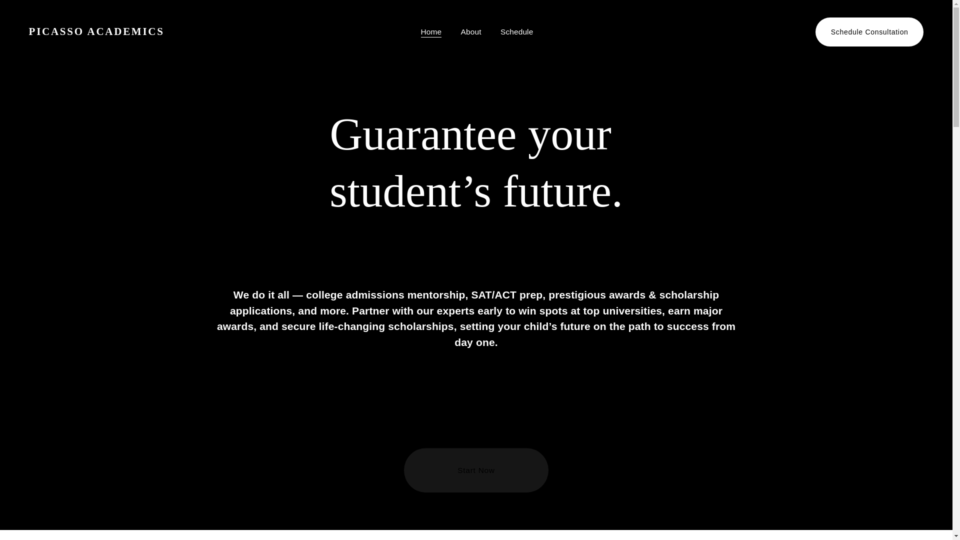 website screenshot of https://picassoacademics.com/