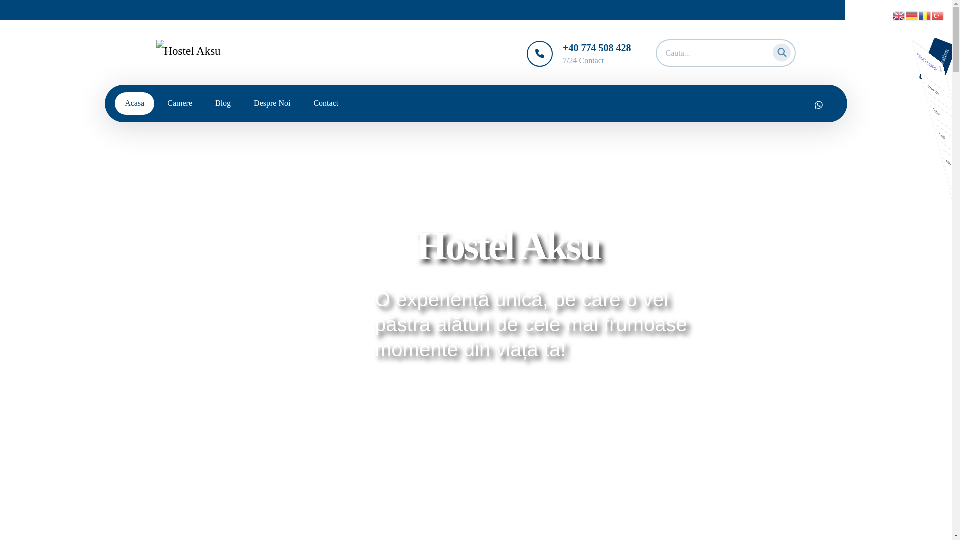 website screenshot of https://hotelaksu.ro/