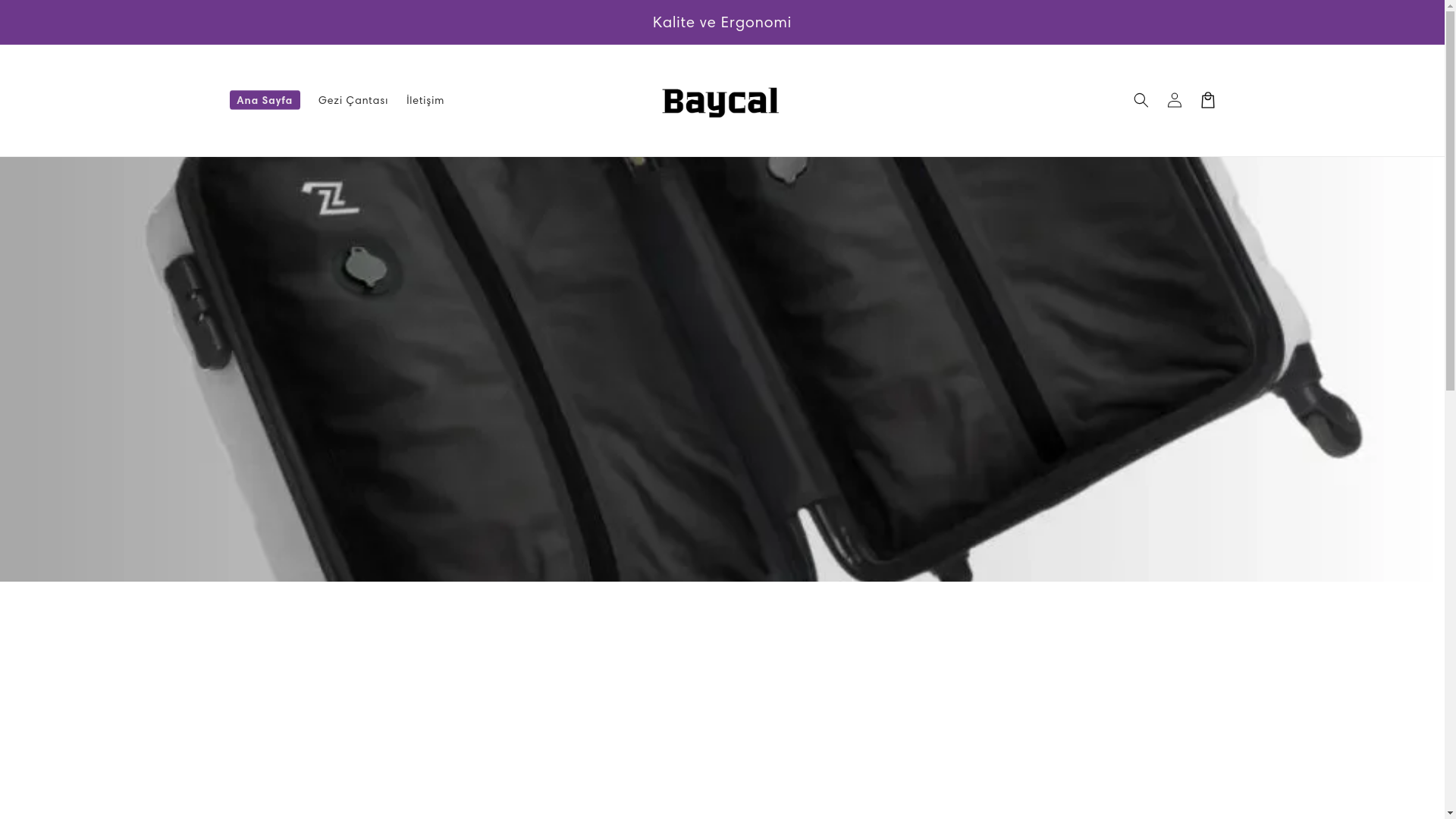 website screenshot of https://baycalproduct.com/