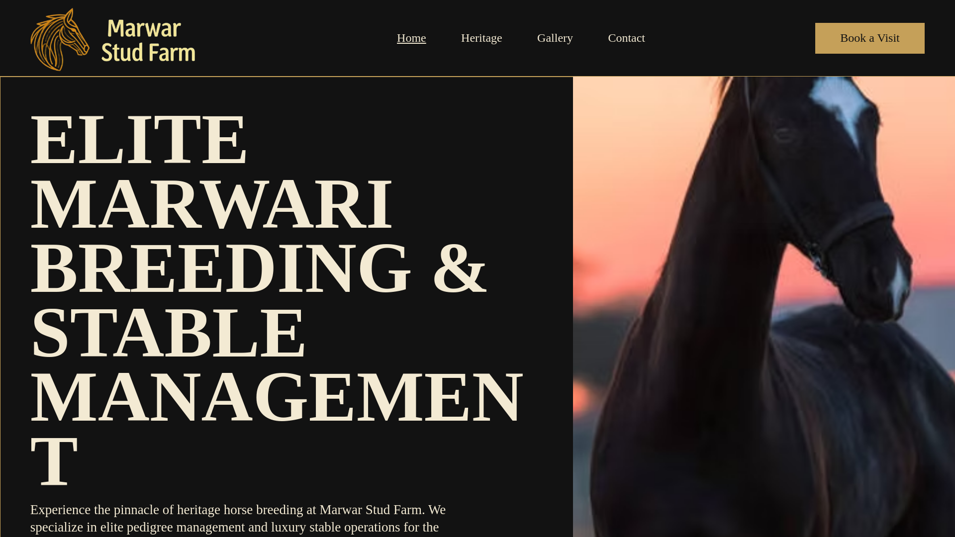 website screenshot of https://marwarstudfarm.com/