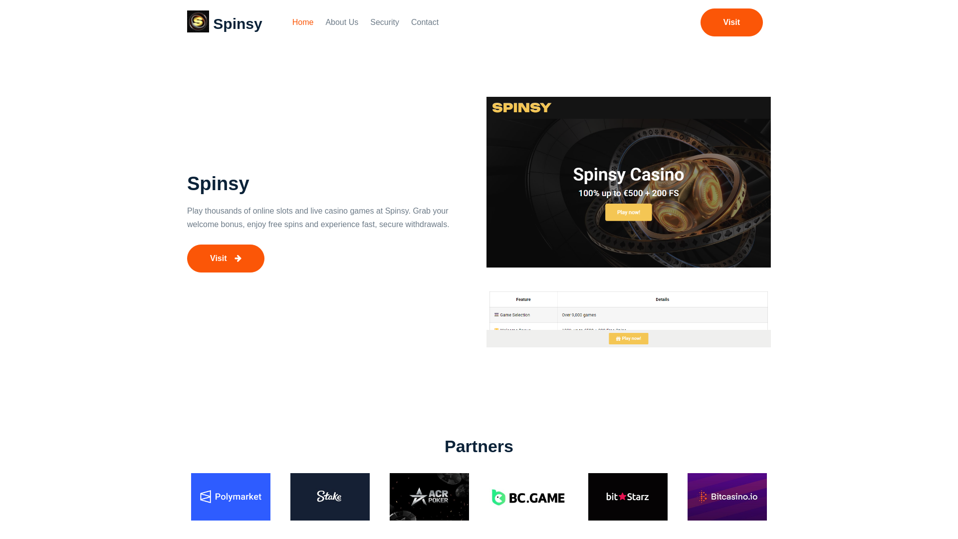 website screenshot of https://spinsyweb.com/