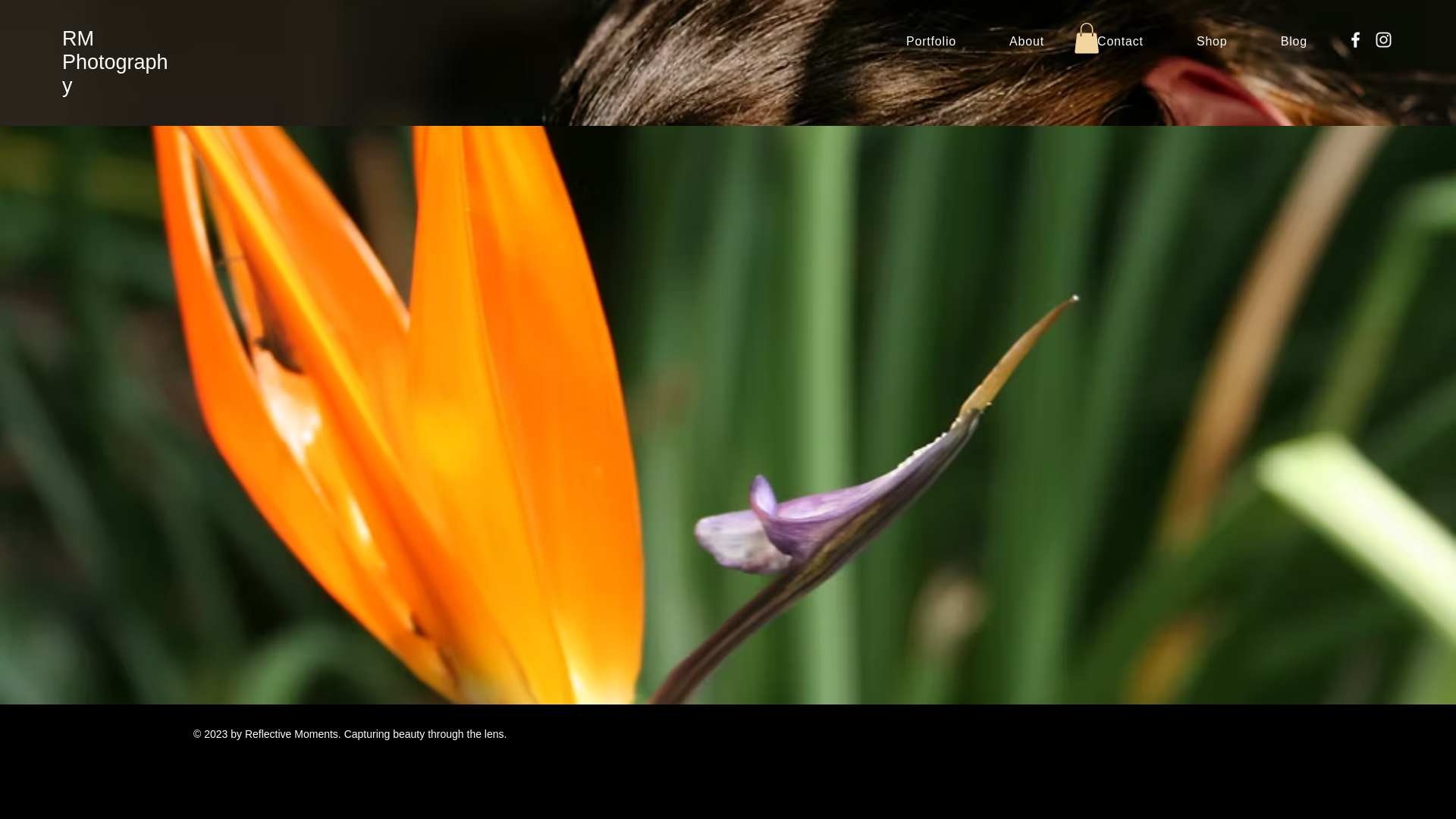 website screenshot of https://reflectivemoments.biz/
