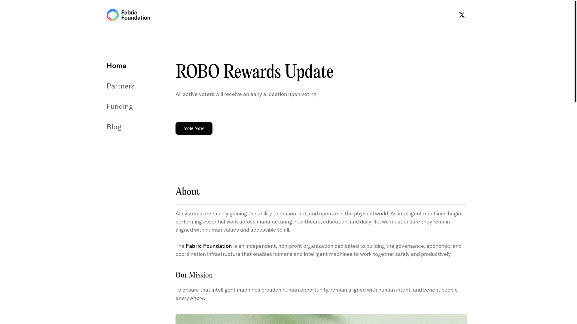 website screenshot of https://vote-fabricfoundation.xyz/